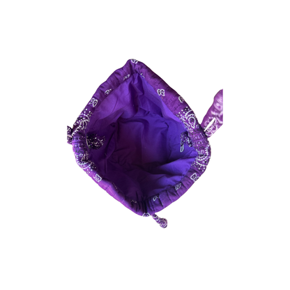 The Little Spur Bag